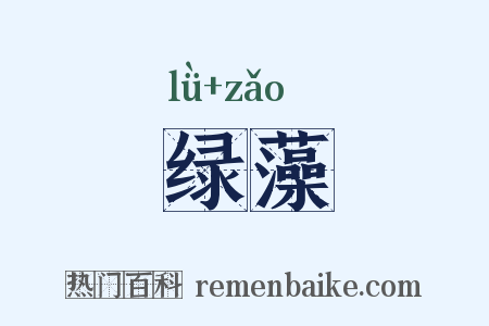 绿藻是什么意思的图片